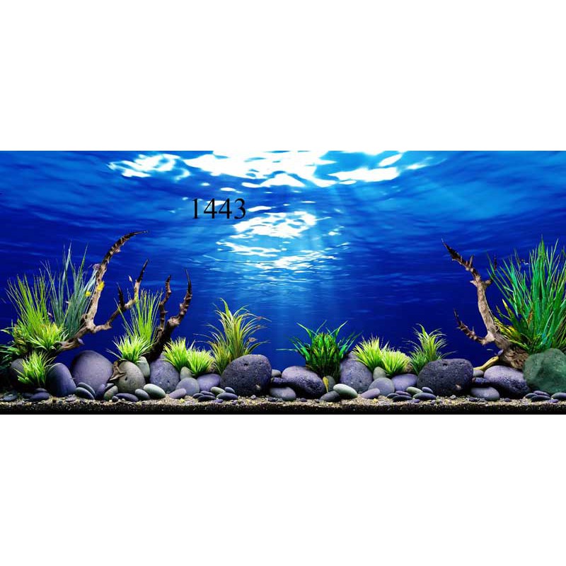 Tranh 3D dán bể cá cảnh hồ thuỷ sinh / Aquarium Background Poster 3D PVC for fish tank many sizes/HD Aquarium Background Rocky Fish Tank Background