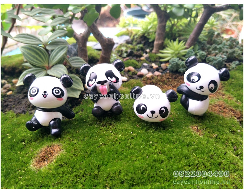Gấu trúc panda tinh nghịch