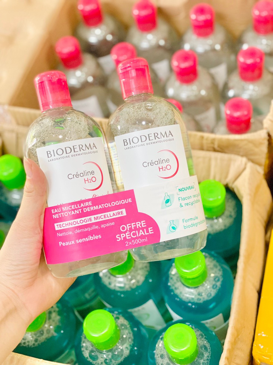 Combo nước tẩy trang bioderma 500ml