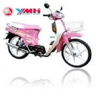 1 lạng màu hồng xe Max