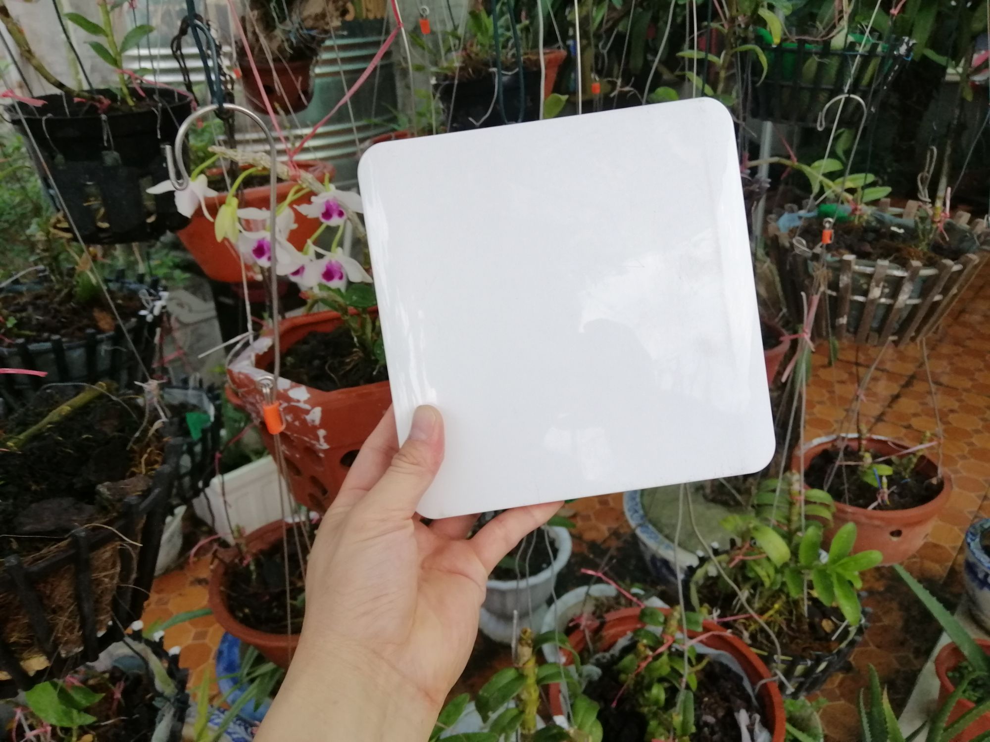 Máy tính Q3 #PC #Q3 Hết Hàng