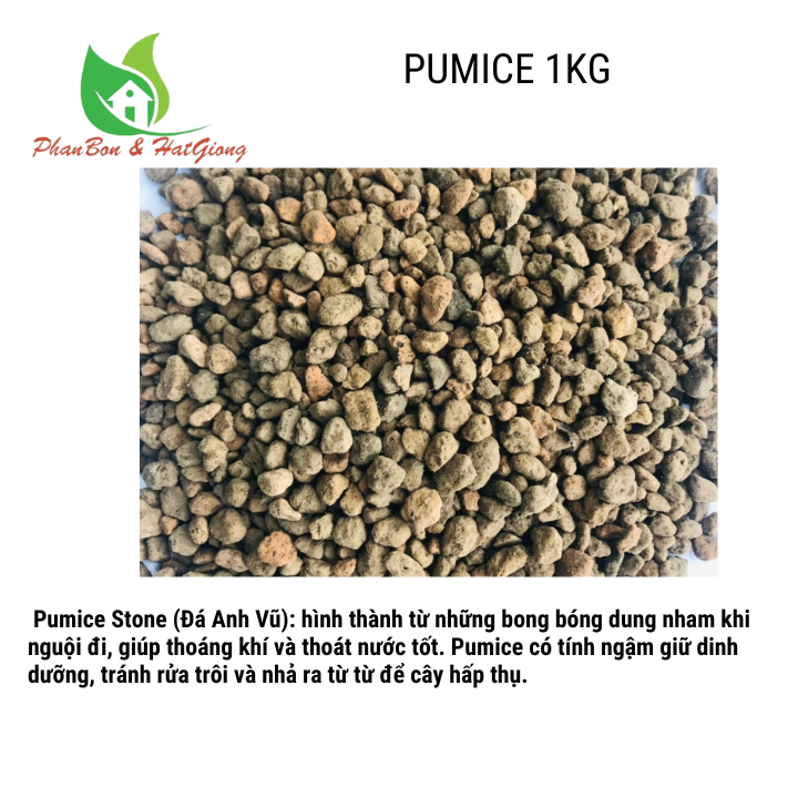 [1kg] Đá Pumice cao cấp - Đá Anh Vũ nhập khẩu Indonesia