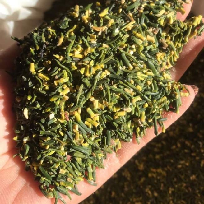 Sỉ toàn quốc 500g tâm sen tim sen