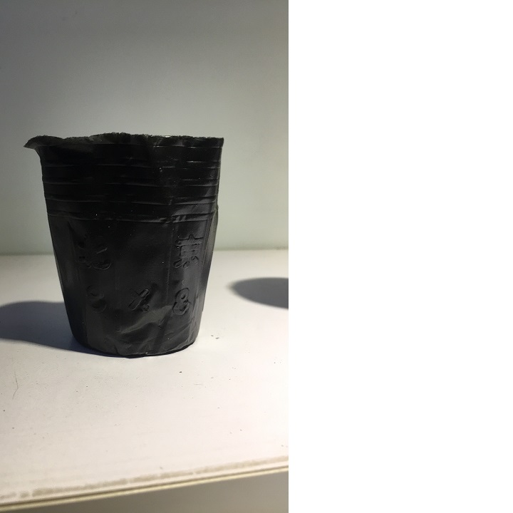 1kg bịch bầu ươm cây cỡ 8x8