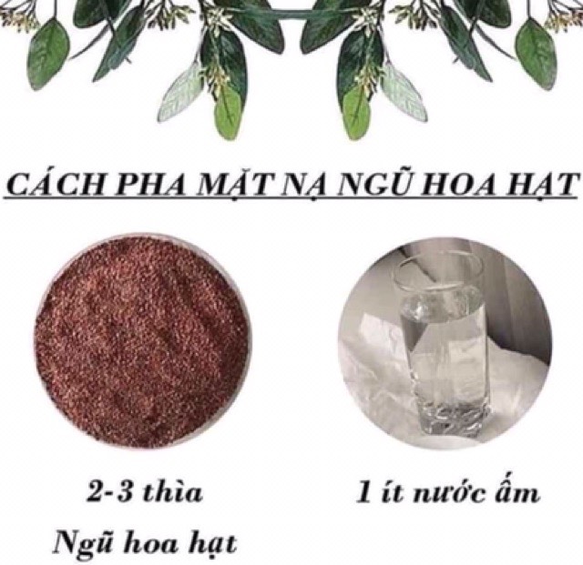 100g hạt Ngũ Hoa nguyên chất (hạt Đình Lịch) Bột đắp mặt dưỡng da