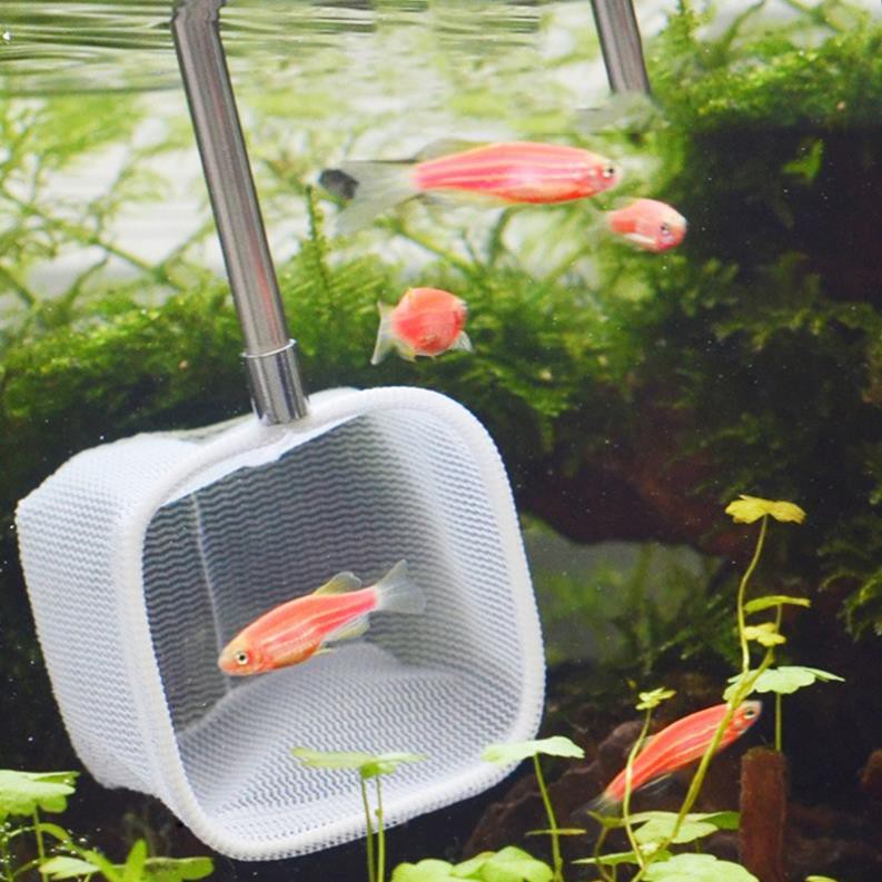 Vợt Tép 5D - Vớt cá tép chống sốt