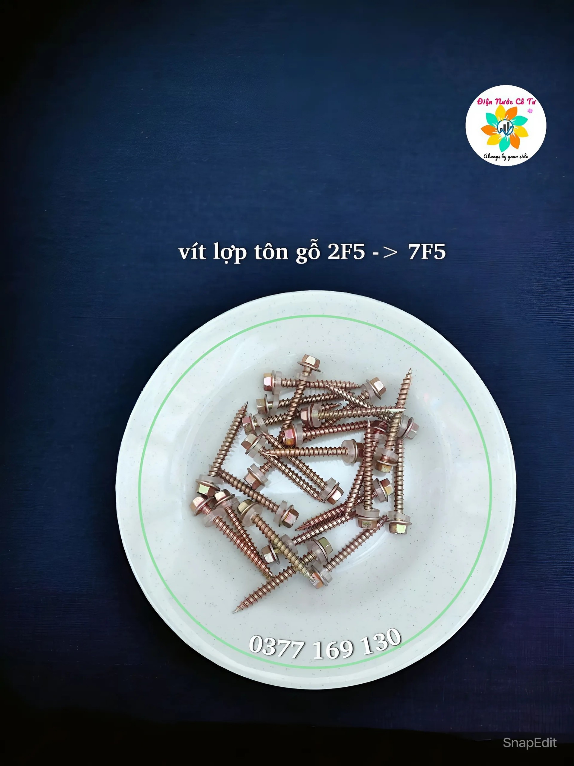 100 gram Vít bắn gỗ bắn tôn đầu lục giác (vít chữ D loại 1)