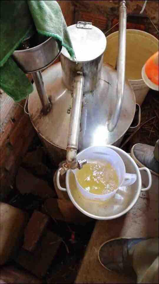 Tinh dầu sả 100ml/3 chai ( thương hiệu Phước Quảng Huế)