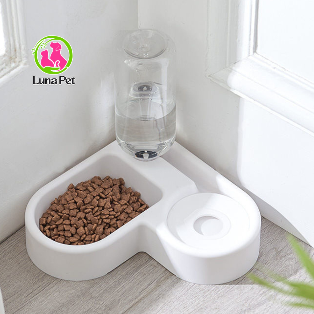 Bát đựng thức ăn và bình uống nước cho thú cưng hình trái tim cực dễ thương bát ăn cho chó mèo tự động