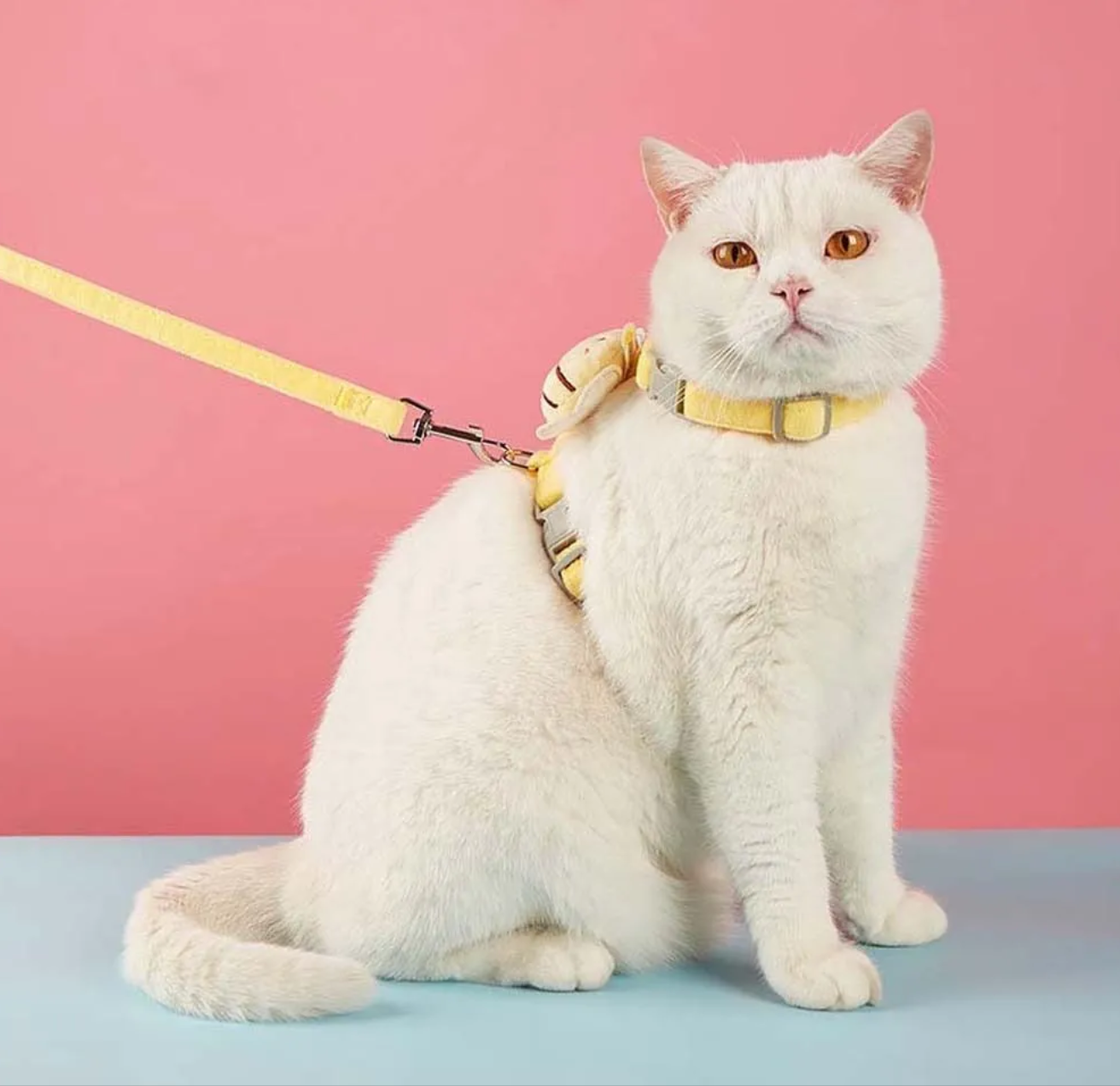 Dây dắt yếm hình dễ thương cho thú cưng có size