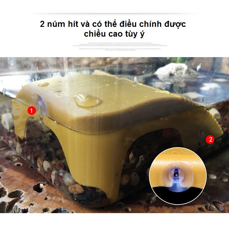 [hot sale]Bệ đứng phơi nắng cho rùa