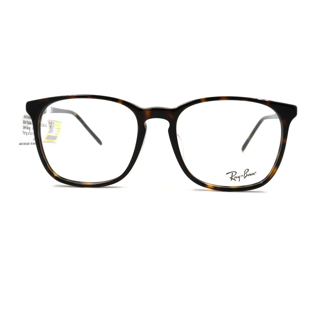 Gọng kính Rayban RB5387F 2012