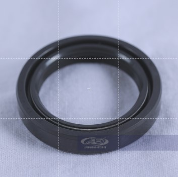 Phốt dên zin bên nồi - rgv120-0411