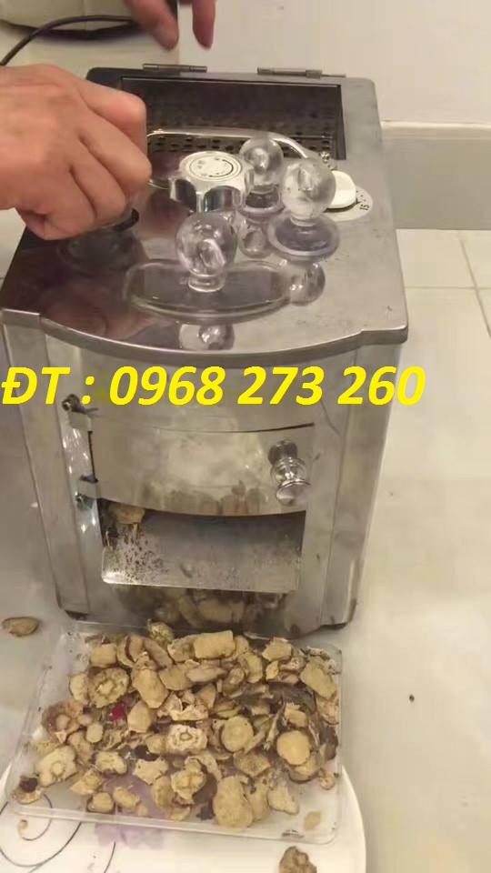 Máy thái dược liệu DQ 103 ,máy thái thân cây cành cây khô