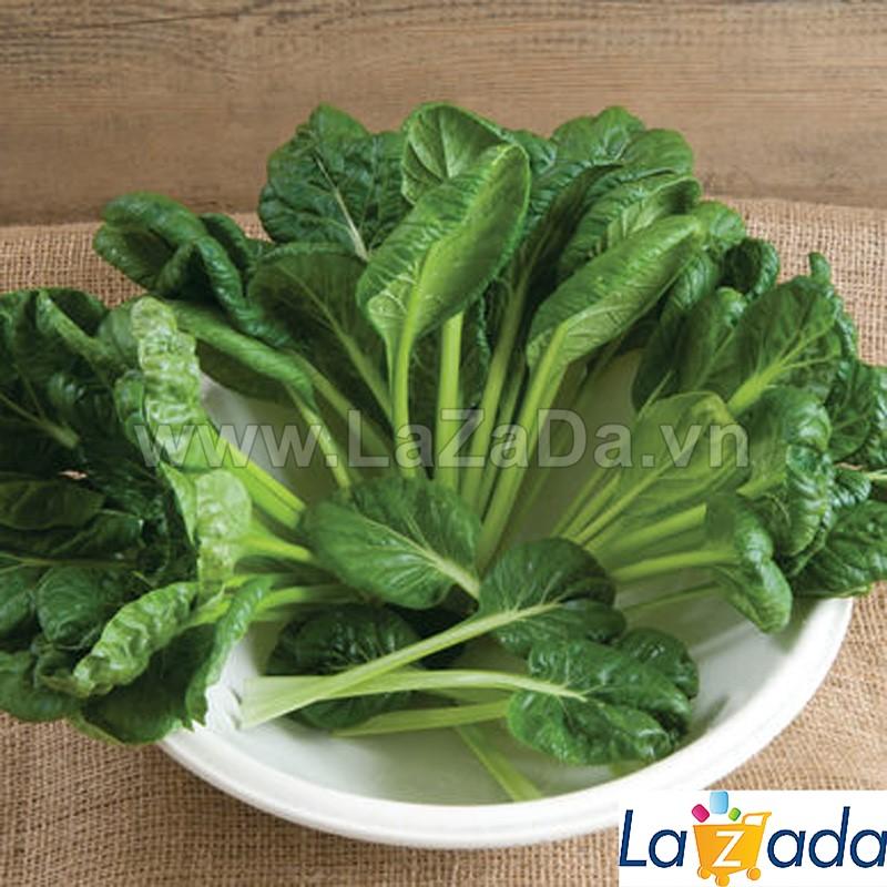 5Gr Hạt Giống Cải Tatsoi (B2.203| Y3*W51*M166)