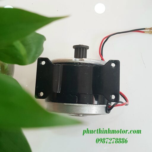 Motor 24V300W
