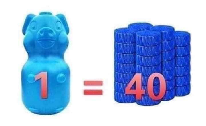 LỢN THẢ BỒN CẦU