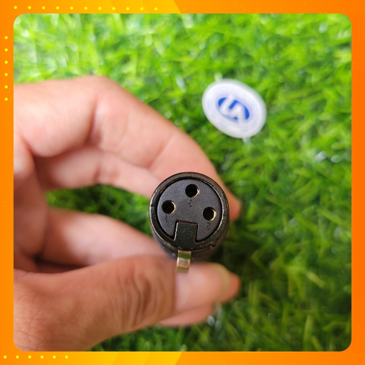 Jack Tín Hiệu Canong đực Cái