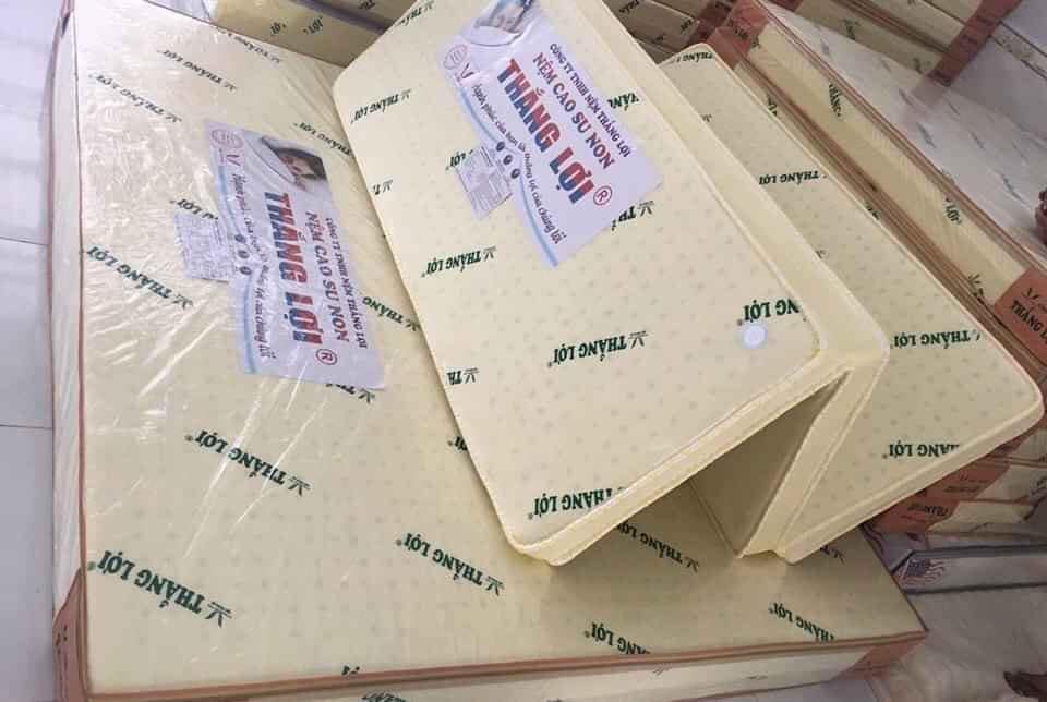 NỆM 1m6x2mx10cm CAO SU NON THẮNG LỢI GẤP 3