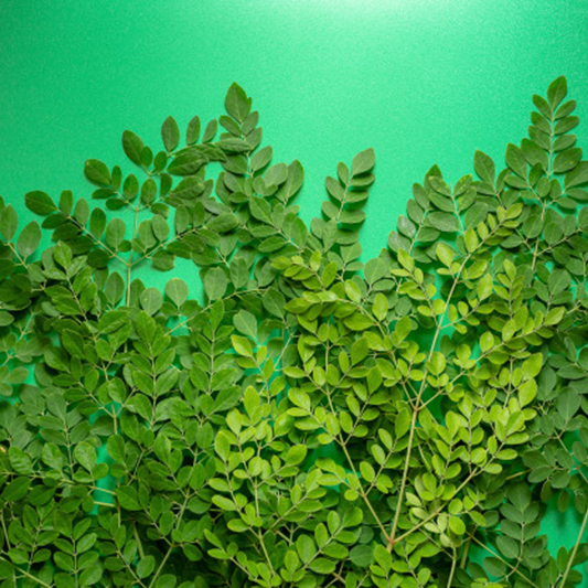 [COMBO 10 Gói]  Mì Chùm Ngây Moringa Giàu Dinh Dưỡng