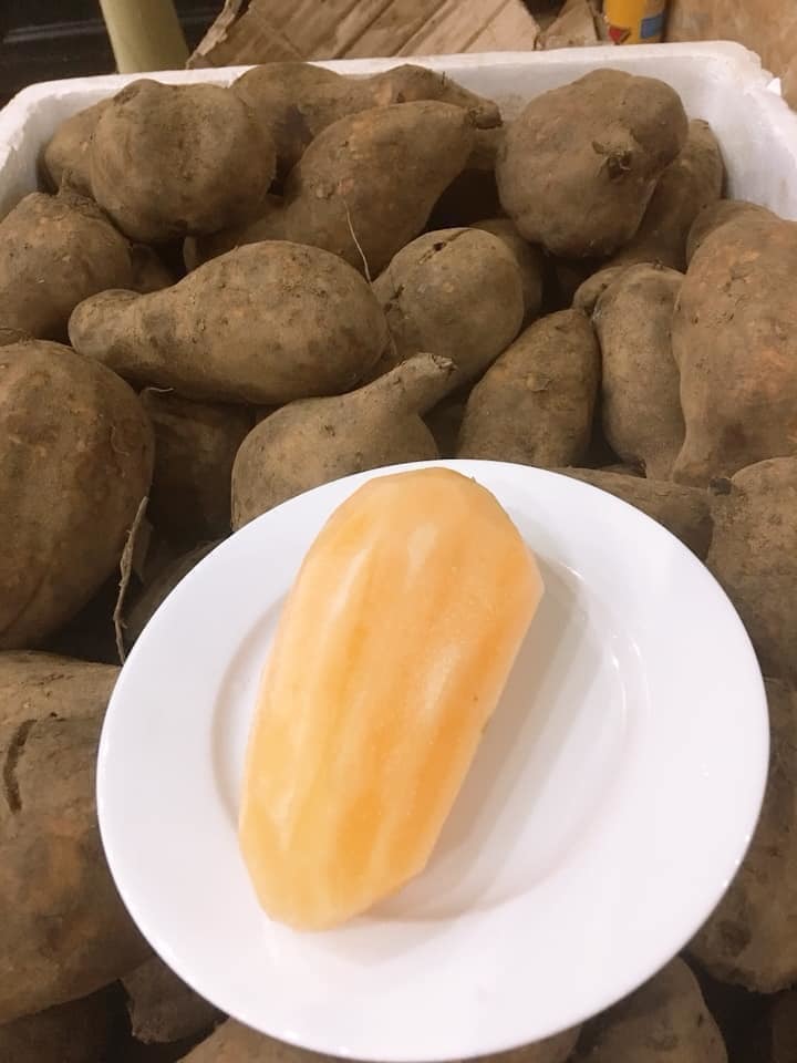 ĐỒ ĂN VẶT - 1KG MỨT KHOAI LANG KHOAI SÂM SẤY DẺO ĐẶC SẢN ĐÀ LẠT - đồ ăn vặt - bách hóa online uy tín