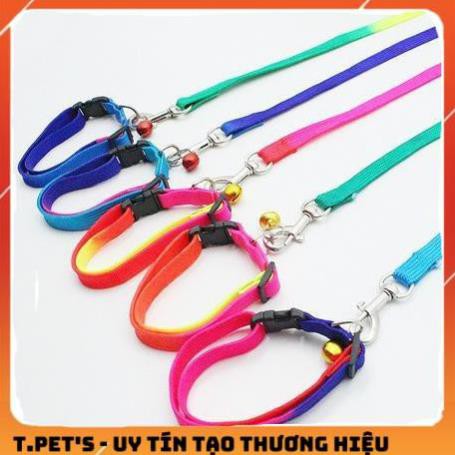 [HCM]Dây dắt chó bảy màu kèm vòng cổ