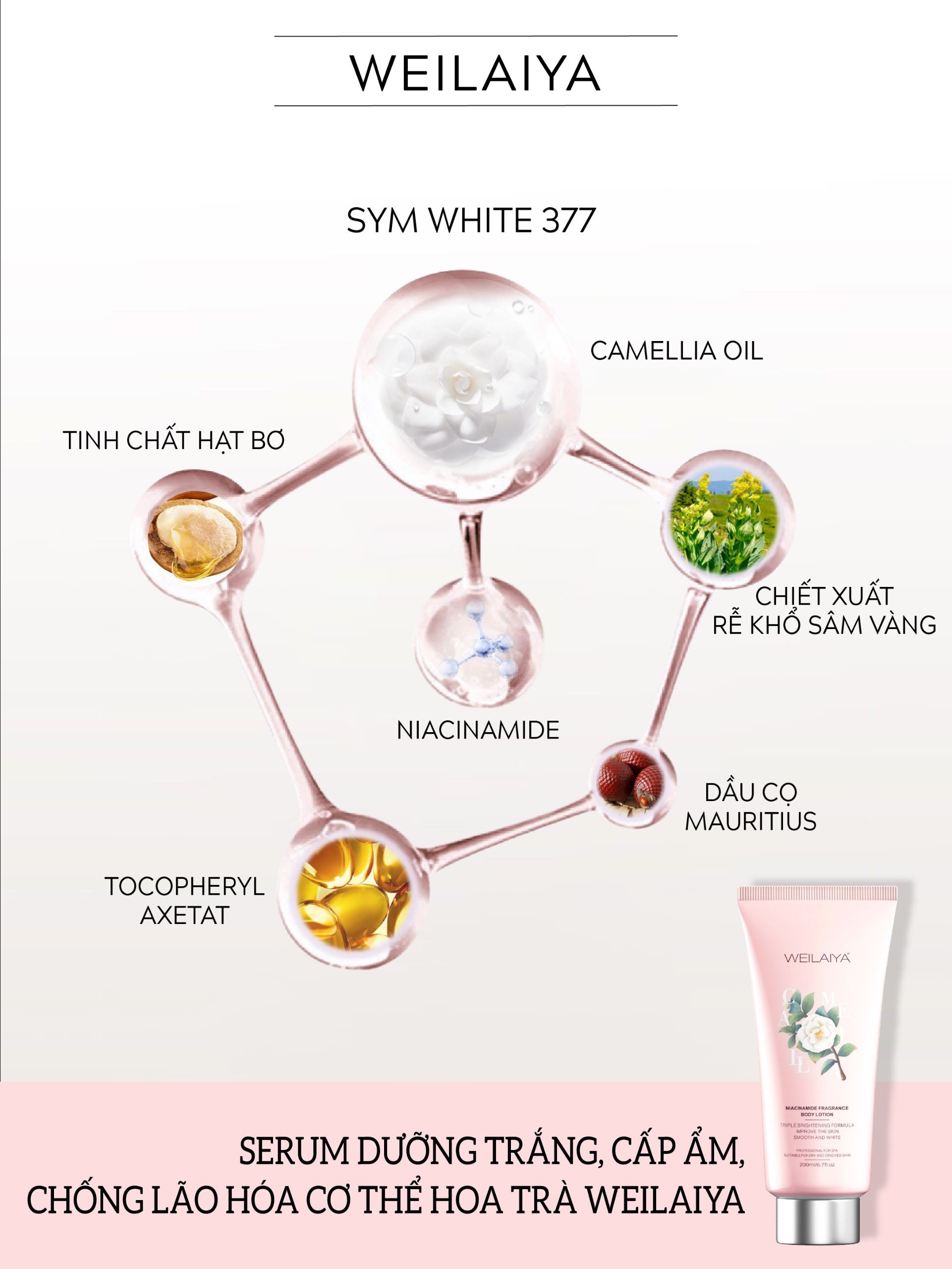 Combo Dưỡng Trắng ngày và đêm Weilaiya (Kem ban ngày 200g & Lotion Serum Dưỡng Trắng ban đêm 200ml)