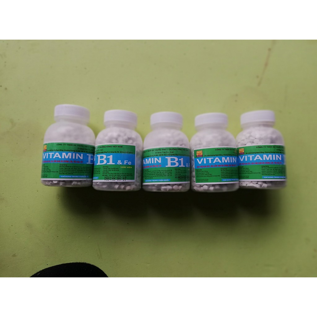 5 lọ VITAMIN B1 và Fe 1200 viên 200g KÍCH THÍCH GIA SÚC, GIA CẦM, CHÓ MÈO HAM ĂN CHÓNG LỚN, TIÊU HÓA TỐT