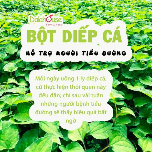 Bột Diếp Cá Dalahouse Hữu Cơ Sấy Lạnh Nguyên Chất