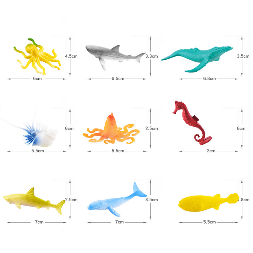 24 sinh vật biển size 4-6cm