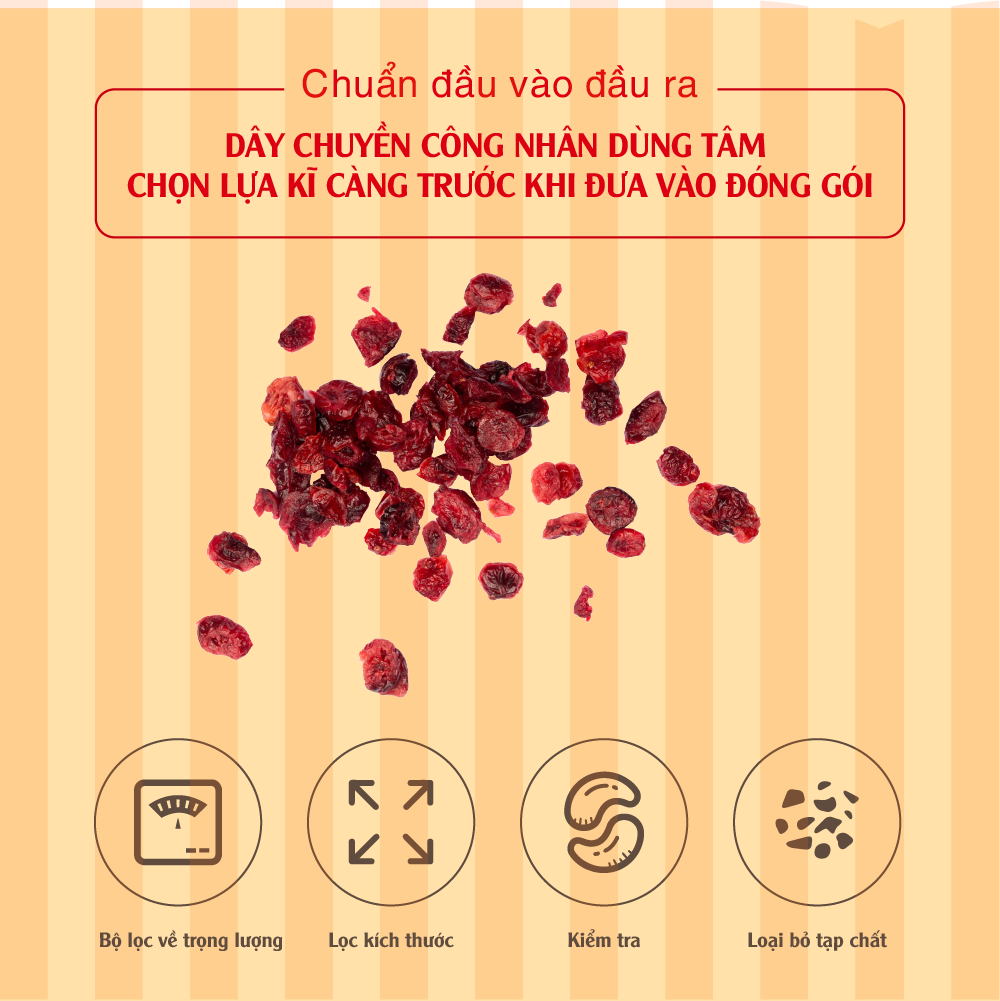 [Chính hãng] Nam việt quất nhập khẩu 150g Dan D Pak