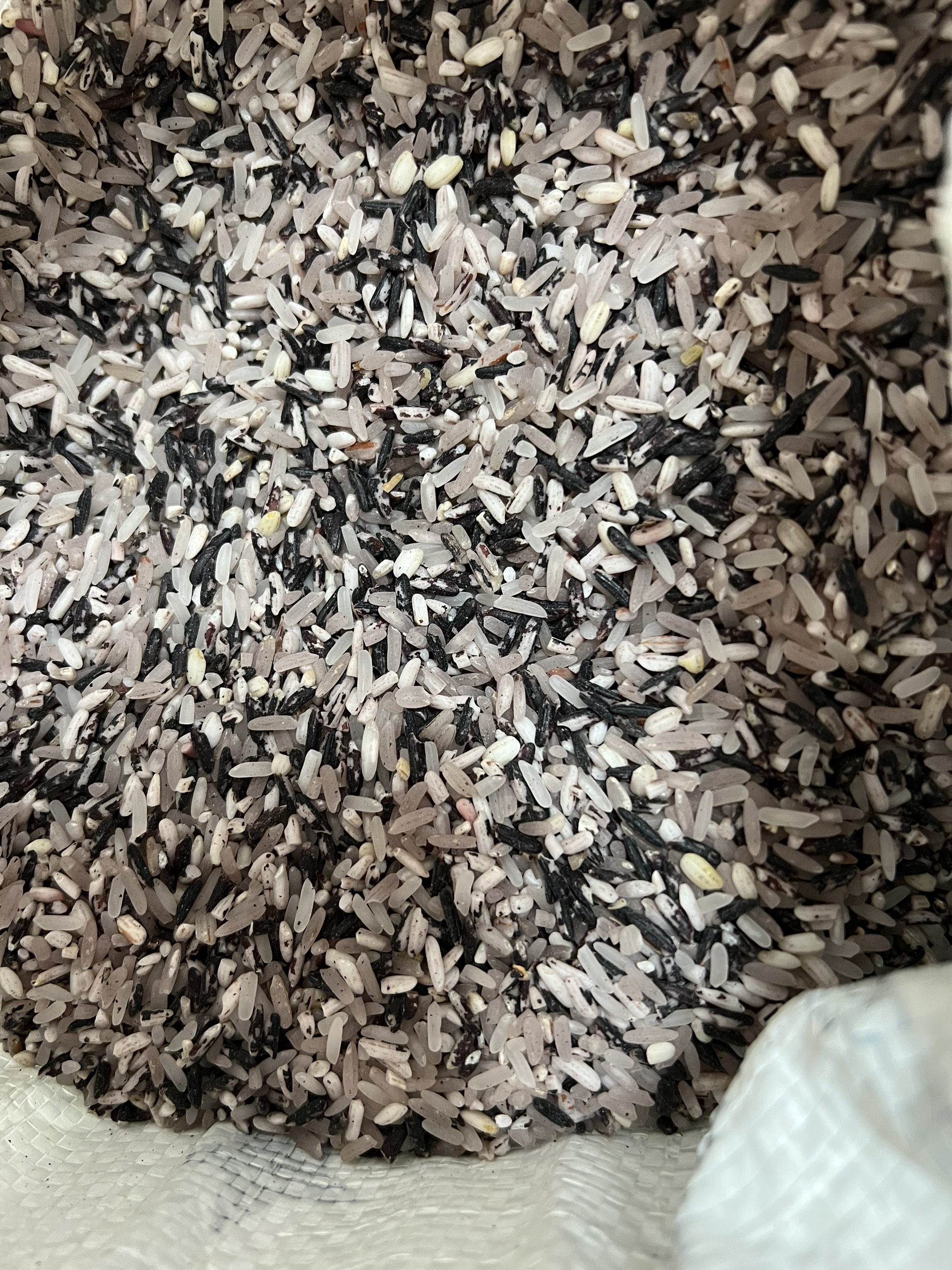 Gạo nương tím Tây Bắc