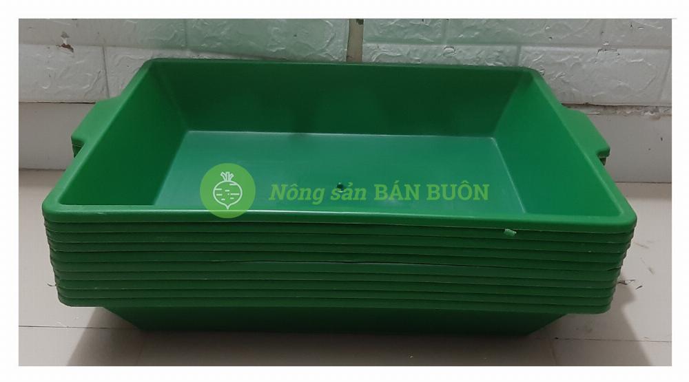 10 Khay Đựng Nước Làm Mát Cho Lan - Máng vữa - Máng Đựng Nước - Khay nuôi trùn- Khay nhựa Sông Hồng