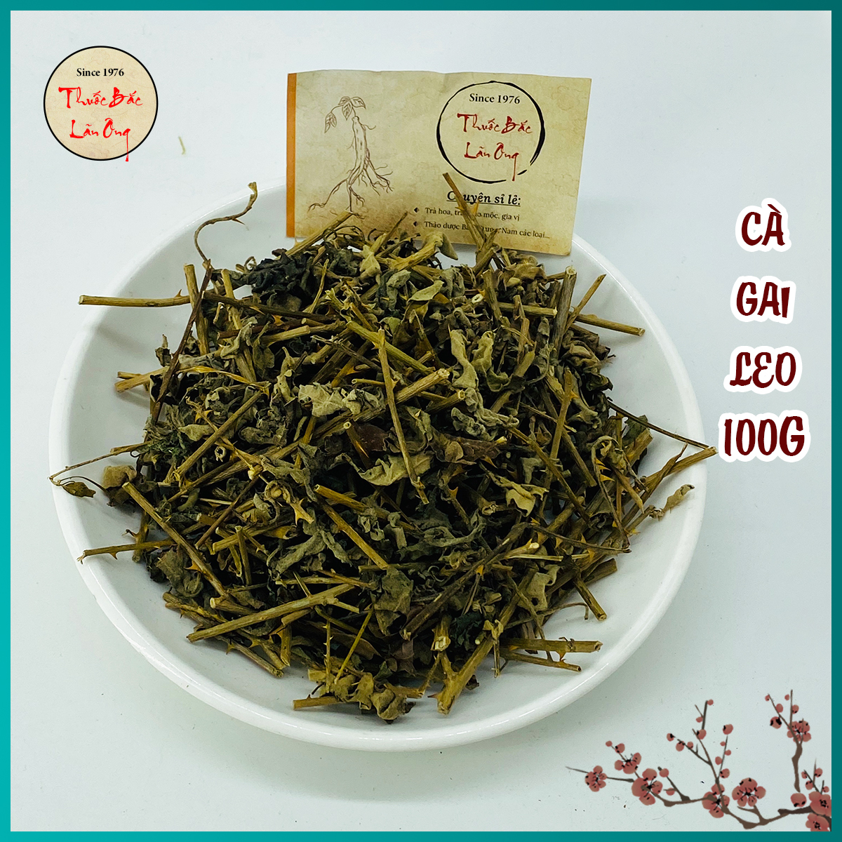 500g cà gai leo