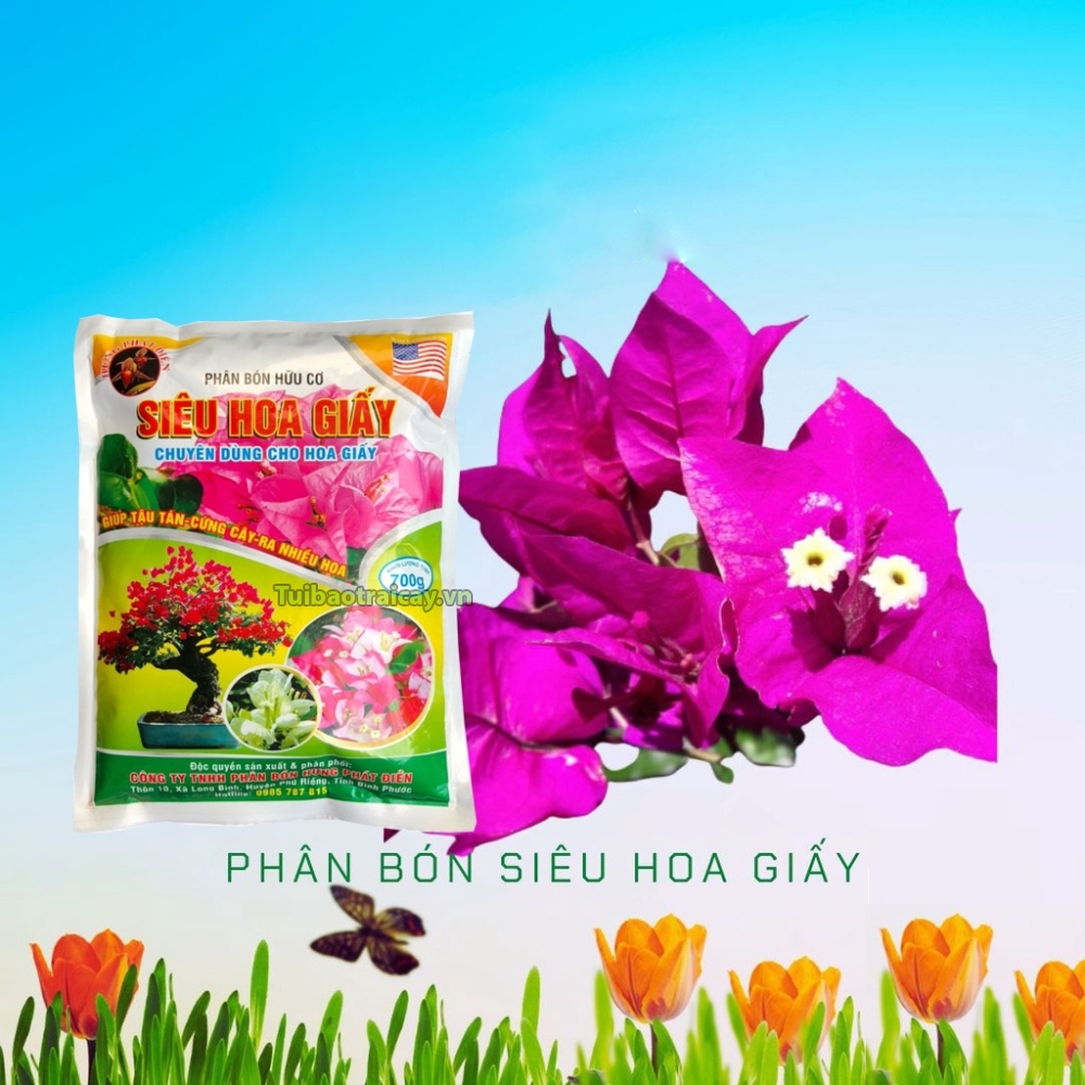 Phân bón hoa giấy, phân bón lá cao cấp siêu ra hoa
