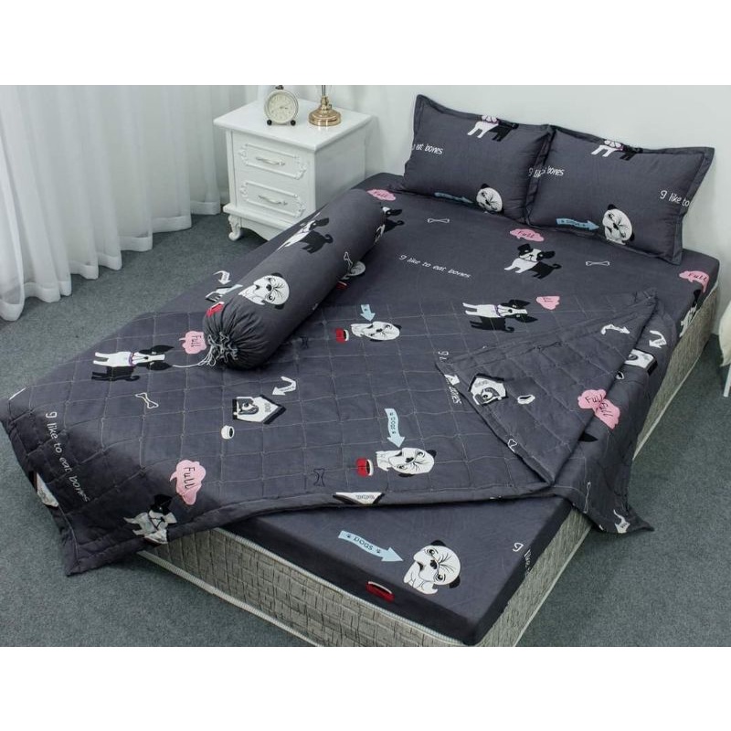 Bộ chăn hè trần bông ga gối 5 món poly cotton mẫu mới được chọn mẫu