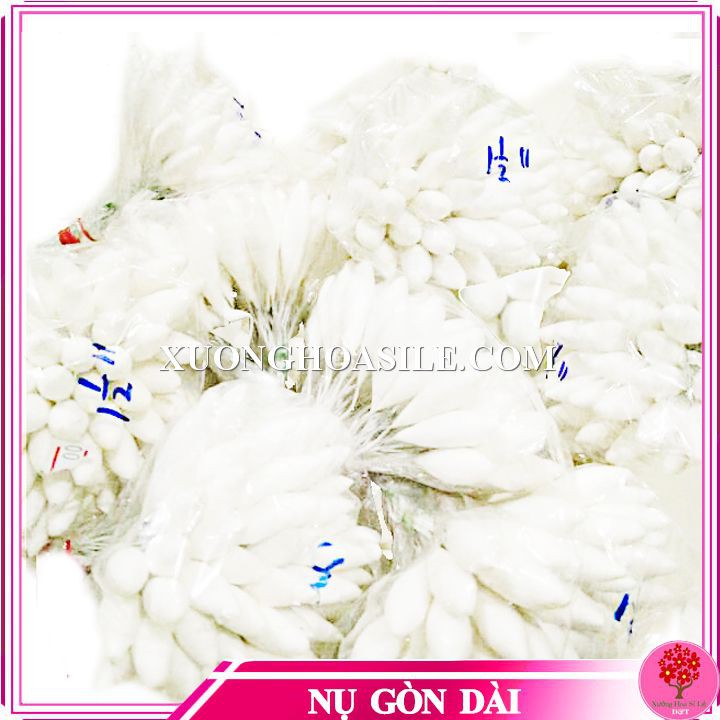 [HCM]NỤ GÒN DÀI