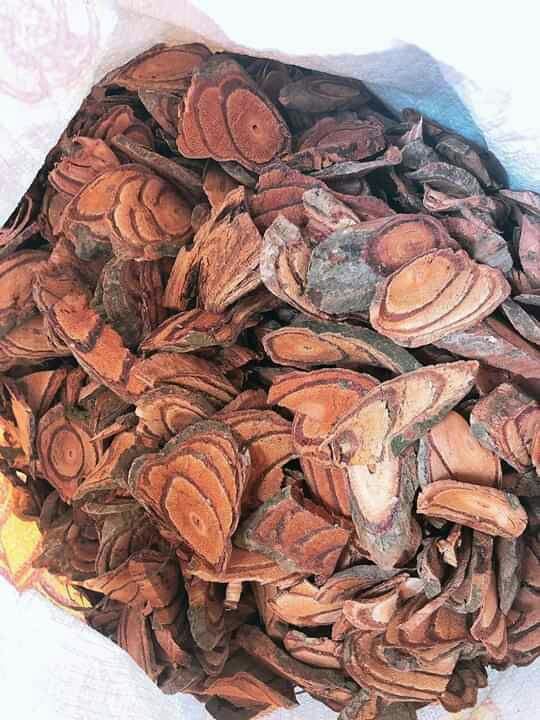 1 KG CÂY CỎ MÁU