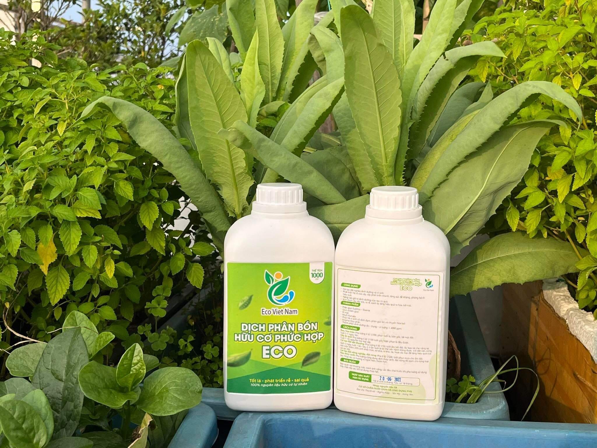 Dịch phân bón hữu cơ phức hợp Eco