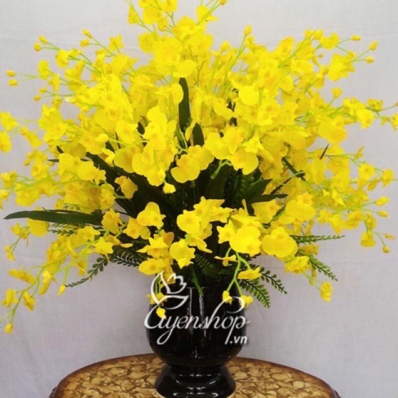 10 cành lan vũ nữ giả, cành 65cm 3 nhánh