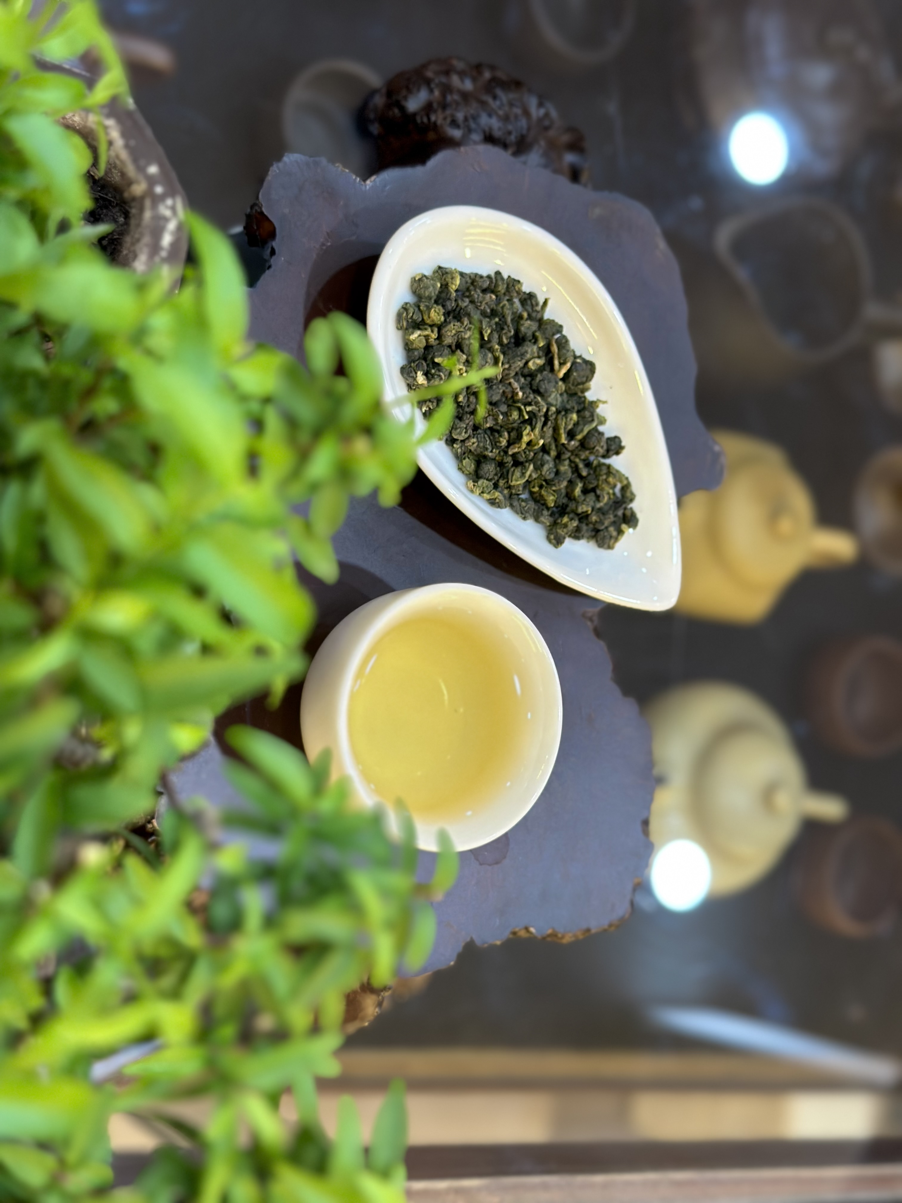 TRÀ Ô LONG BẠCH LONG - TRÀ ĐẸP DA, HỖ TRỢ GIẢM CÂN - TIÊU HOÁ TỐT - ORGANIC OOLONG TEA - 100G - VIỆT LONG TRÀ