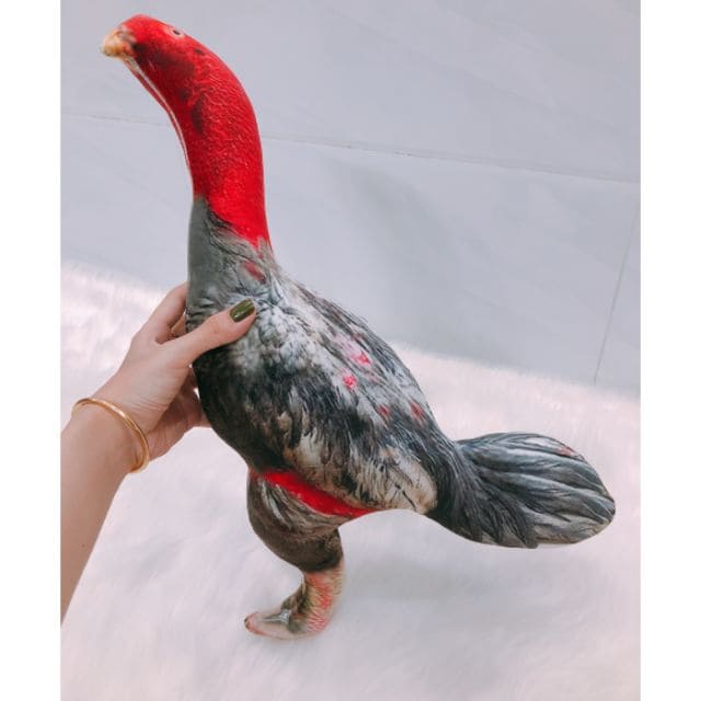(hình thật) Thú bông 3D cao cấp -đồ chơi