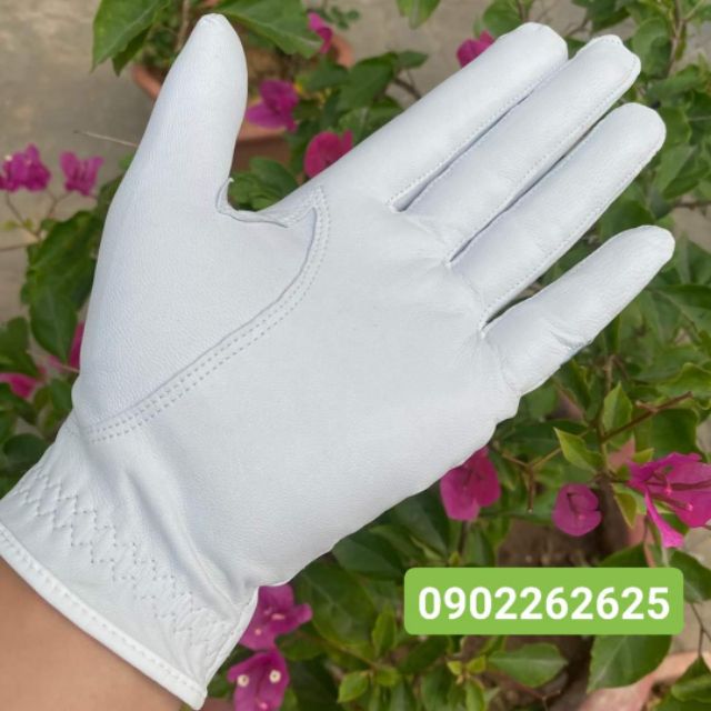 Găng Tay Golf Oio