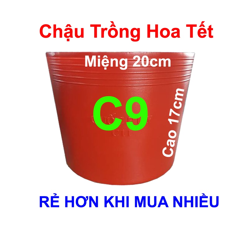 Chậu nhựa đỏ C9 trồng hoa Tết, trồng rau, trồng cây vạn thọ