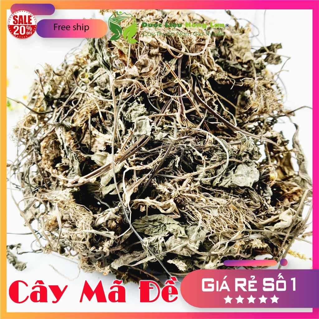 [FreeshipMAX] Combo 2kg CÂY MÃ ĐỀ khô - duoclieuhonglan