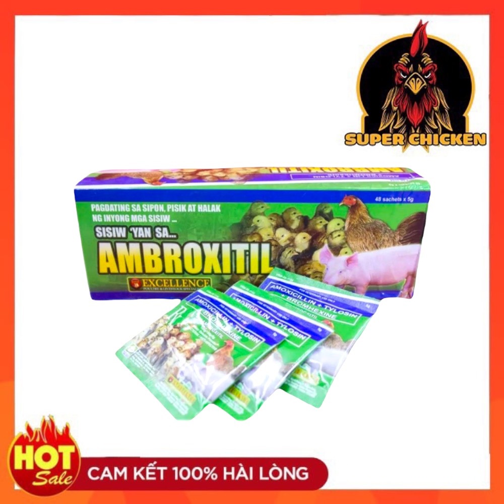 Úm gà con nhập ambroxitil gói 5 gam 1 gói