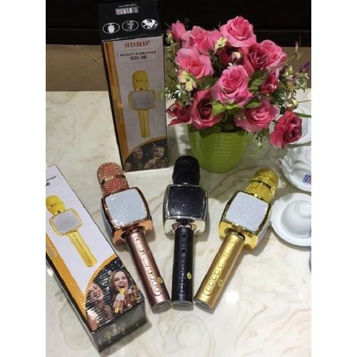 Mic Karaoke SD-16 KÈM LOA