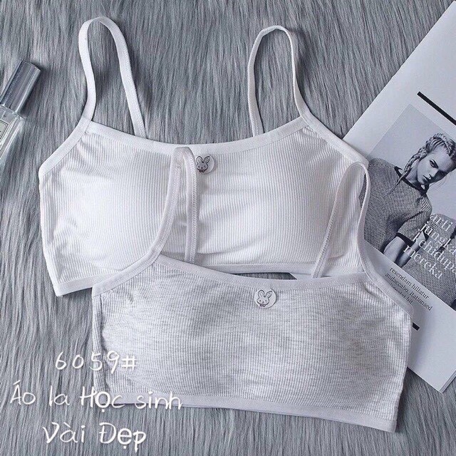 [HCM]ÁO LÓT HỌC SINH COTTON