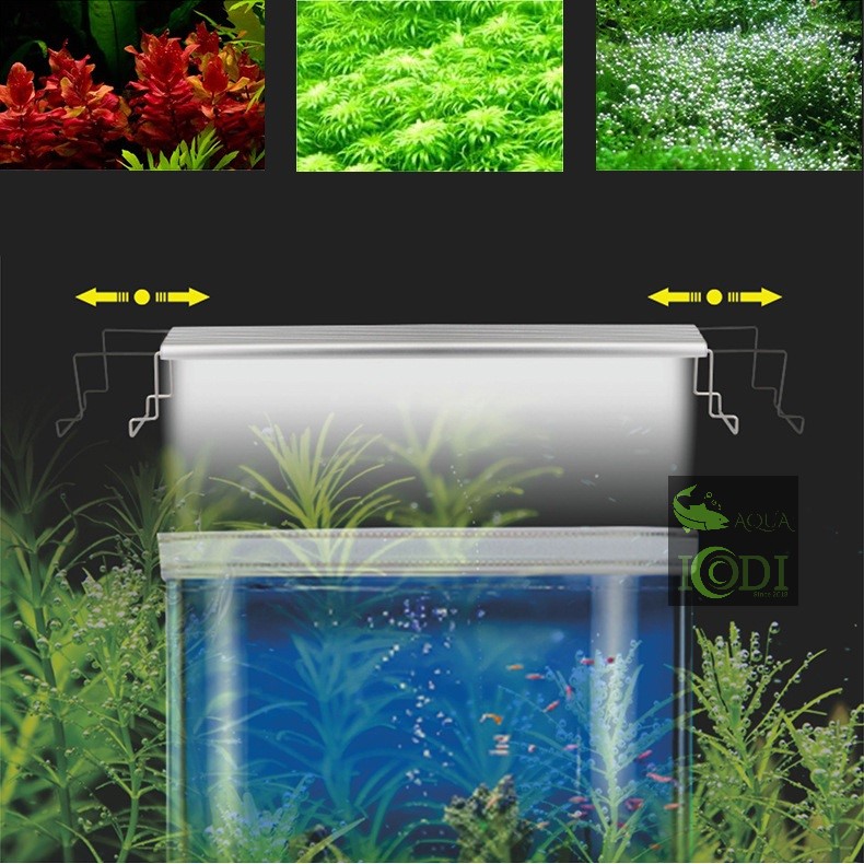 Đèn bể cá WYIN ZRDR LED-60