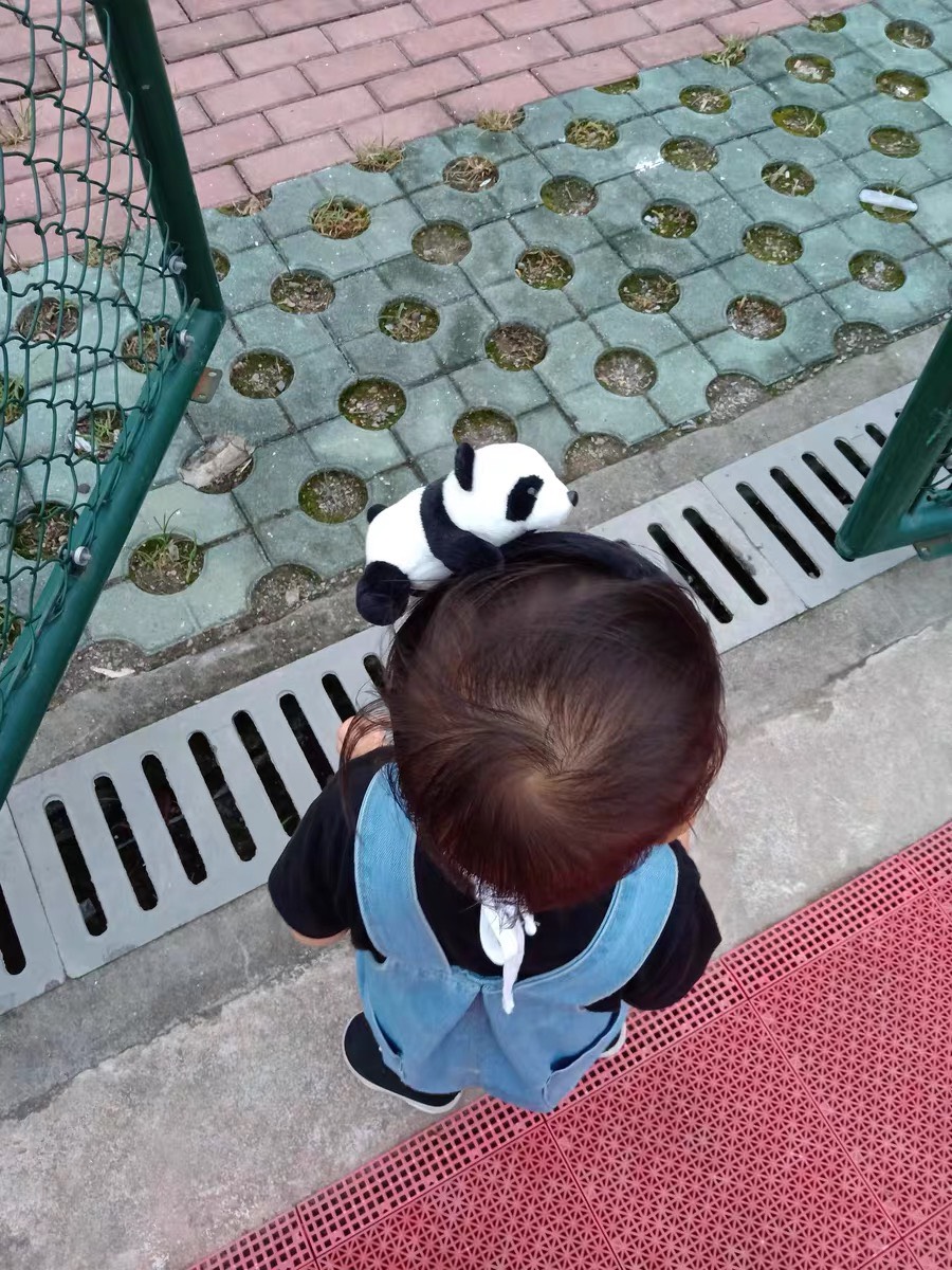 Cài tóc Gấu trúc đáng yêu